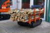 Delta-Competent Holzladepritsche für Kettendumper hydr. Kippbar